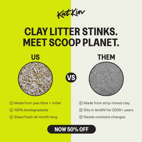 KatKin ad, running 95 days