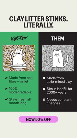 KatKin ad, running 96 days